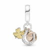 797852CZ_V2.png