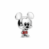 798905C01.png