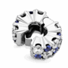 799171C01_V4.png
