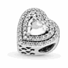 799218C01_V4.png