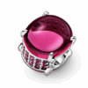 799309C01_V4_1661348910655.png