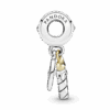799328C00_V3.png