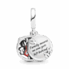 799383C01_V2.png