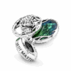 799501C01_V4.png