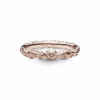 PNGTRPNT_187690_V2_RGB.png