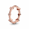 PNGTRPNT_187729CZ_RGB.png