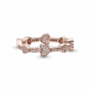 PNGTRPNT_187729CZ_V2_RGB.png