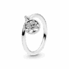 PNGTRPNT_197782CZ_RGB.png