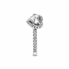 PNGTRPNT_198421C01_V4_RGB.png
