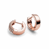 PNGTRPNT_282622C01_V2_RGB.png