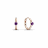 PNGTRPNT_289304C01_RGB.png