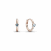 PNGTRPNT_289304C02_RGB.png