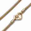 PNGTRPNT_362451C00_V3_RGB.png