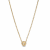 PNGTRPNT_363548C01_V2_RGB.png