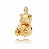 PNGTRPNT_367237_cacidi.png