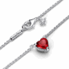 PNGTRPNT_392542C01_V5_RGB.png