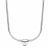 PNGTRPNT_393091C00_V2_RGB.png