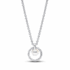 PNGTRPNT_393165C01_V2_RGB.png