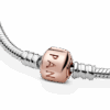 PNGTRPNT_580702_V4_RGB.png