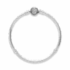 PNGTRPNT_590743CZ_V3_RGB.png