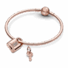 PNGTRPNT_780088C01_V5_RGB.png