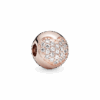 PNGTRPNT_781053CZ_RGB.png