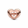PNGTRPNT_782493C01_V2_RGB.png