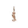 PNGTRPNT_782533C01_V2_RGB.png