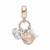 PNGTRPNT_786596CZR_V2_RGB.png