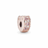 PNGTRPNT_787020NPM_RGB.png