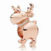 PNGTRPNT_787514CZ_cacidi.png