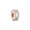 PNGTRPNT_787559CZ_RGB.png