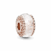 PNGTRPNT_787576_RGB.png
