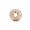 PNGTRPNT_787895_V3_RGB.png
