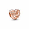 PNGTRPNT_788826C01_RGB.png