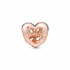 PNGTRPNT_788826C01_V2_RGB.png