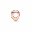 PNGTRPNT_788826C01_V3_RGB.png