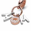 PNGTRPNT_788828C01_V4_RGB.png