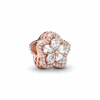 PNGTRPNT_789224C01_RGB.png
