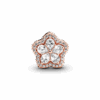 PNGTRPNT_789224C01_V2_RGB.png