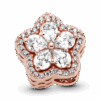 PNGTRPNT_789224C01_V4_RGB.png