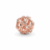 PNGTRPNT_789240C01_RGB.png