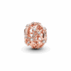 PNGTRPNT_789240C01_V2_RGB.png