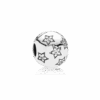 PNGTRPNT_791058CZ.png