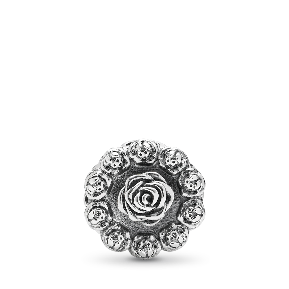PNGTRPNT_791289_V3.png