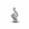 PNGTRPNT_791381CZ_V2_RGB.png