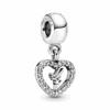 PNGTRPNT_791565CZ_RGB.png