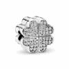 PNGTRPNT_791805CZ_RGB.png