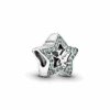 PNGTRPNT_791920NPG_RGB.png