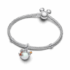 PNGTRPNT_793532C01_V3_RGB.png
